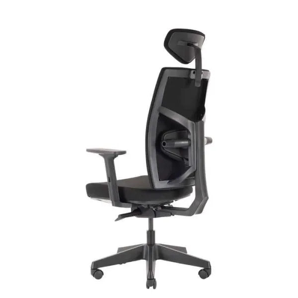 Office Chair Queen Ergo | size: Width: 70cm, Height: 127cm, Depth: 70cm | color: Black | image: 2 | variant: 2000003