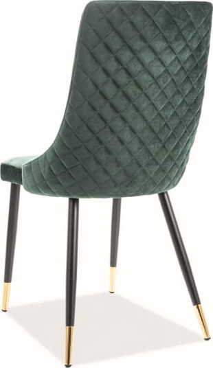 Kitchen Chair Chester | size: Width: 47cm, Height: 93cm, Depth: 44cm | color: Green | image: 2 | variant: 1003713