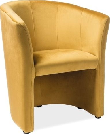 Lounge Chair Kingston upon Hull | size: Width: 60cm, Height: 76cm, Depth: 67cm | color: Yellow | image: 1 | variant: 1004253