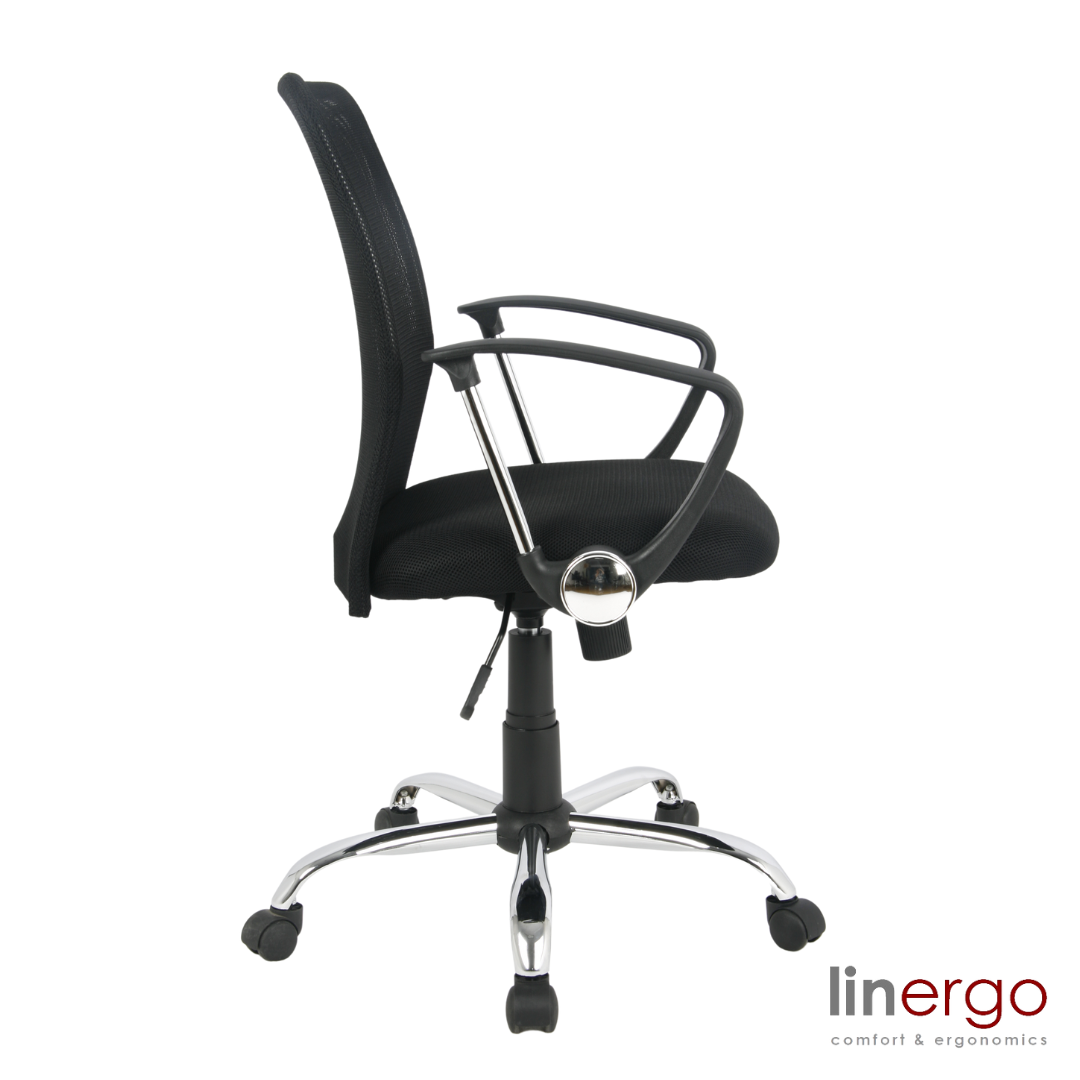 Office Chair Apollo Ergo | size: Width: 64cm, Height: 103cm, Depth: 53cm | color: Gray | image: 2 | variant: 1014102
