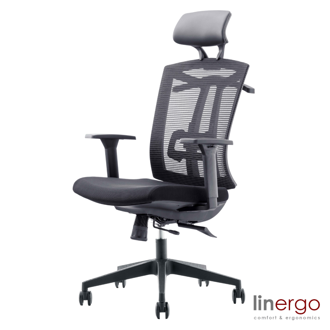 Office Chair East Norwich | size: Width: 50cm, Height: 128cm, Depth: 49cm | color: Black | image: 0 | variant: 1004644