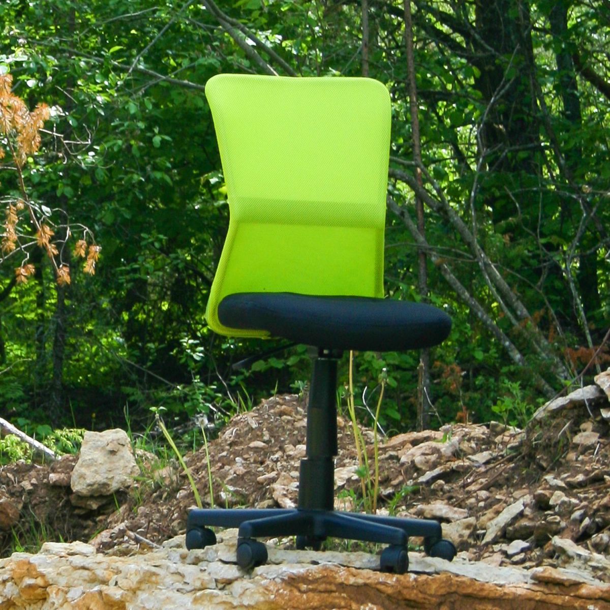 Office Chair Lampeter | size: Width: 41cm, Height: 83-93cm, Depth: 42cm | color: Green | image: 3 | variant: 1001123