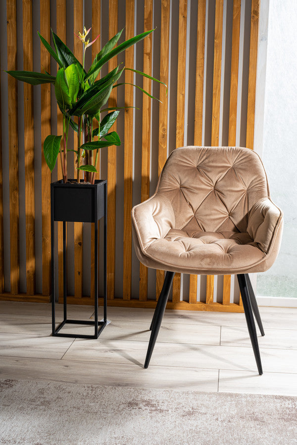 Kitchen Chair Washington | size: Width: 57cm, Height: 87cm, Depth: 43cm | color: Beige | image: 4 | variant: 1003570