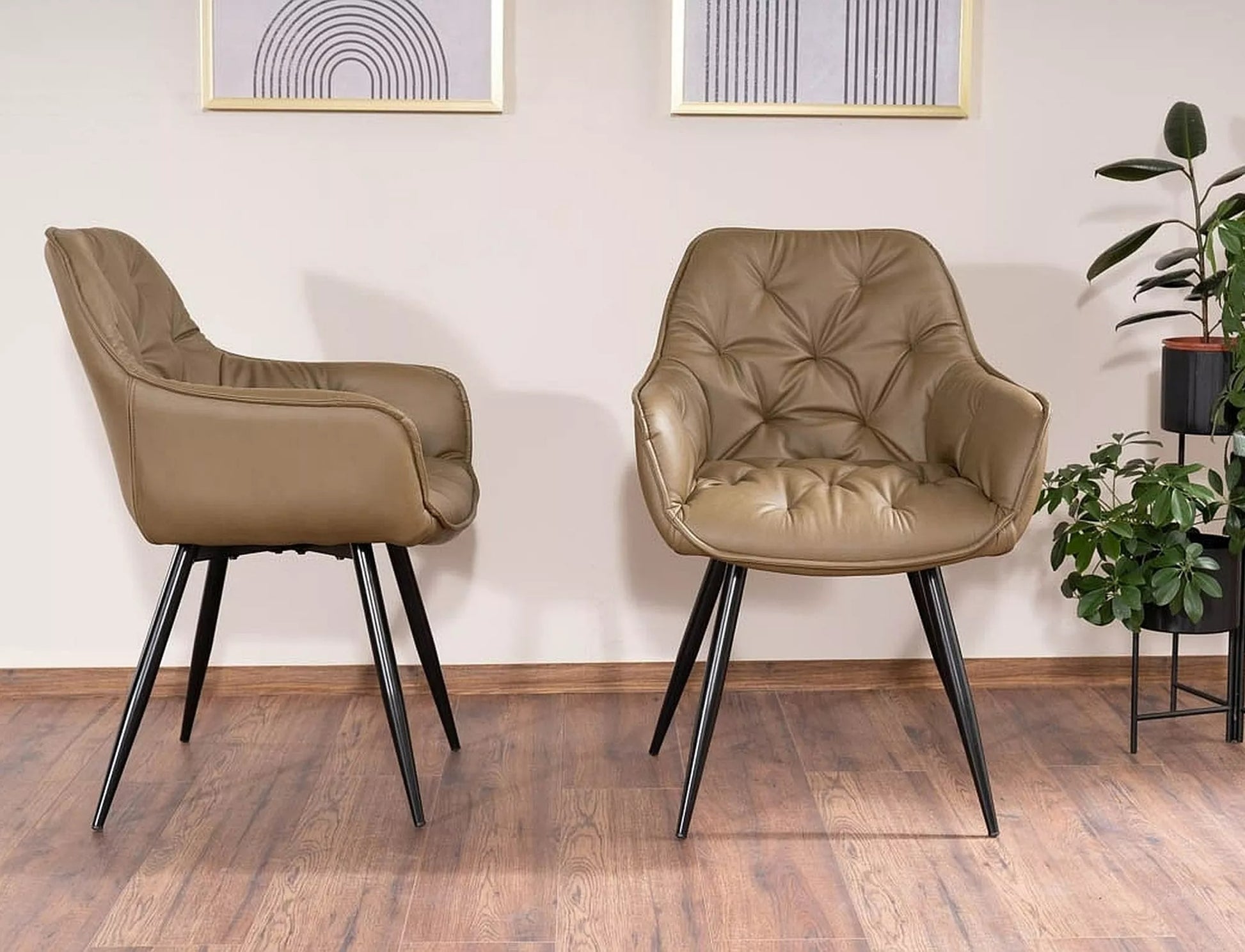 Kitchen Chair Washington | size: Width: 57cm, Height: 87cm, Depth: 43cm | color: Olive | image: 2 | variant: 1003919