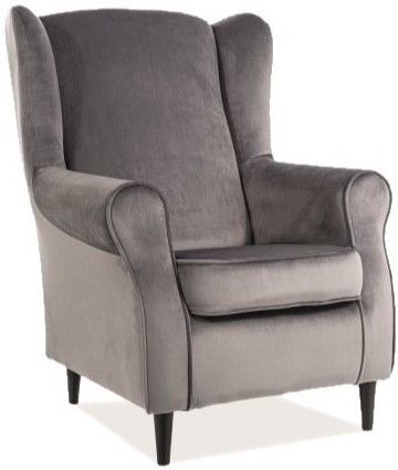 Lounge Chair Baron | size: Width: 75cm, Height: 101cm, Depth: 53cm | color: Gray | image: 1 | variant: 1004954