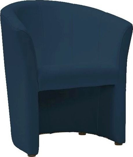 Lounge Chair Kingston upon Hull | size: Width: 60cm, Height: 76cm, Depth: 67cm | color: Blue | image: 1 | variant: 1004259