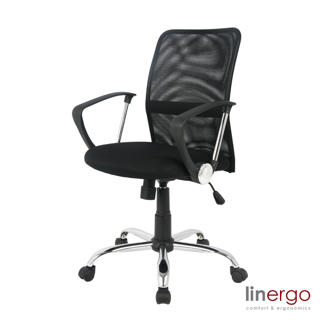 Office Chair Apollo Ergo | size: Width: 64cm, Height: 103cm, Depth: 53cm | color: Gray | image: 0 | variant: 1014102
