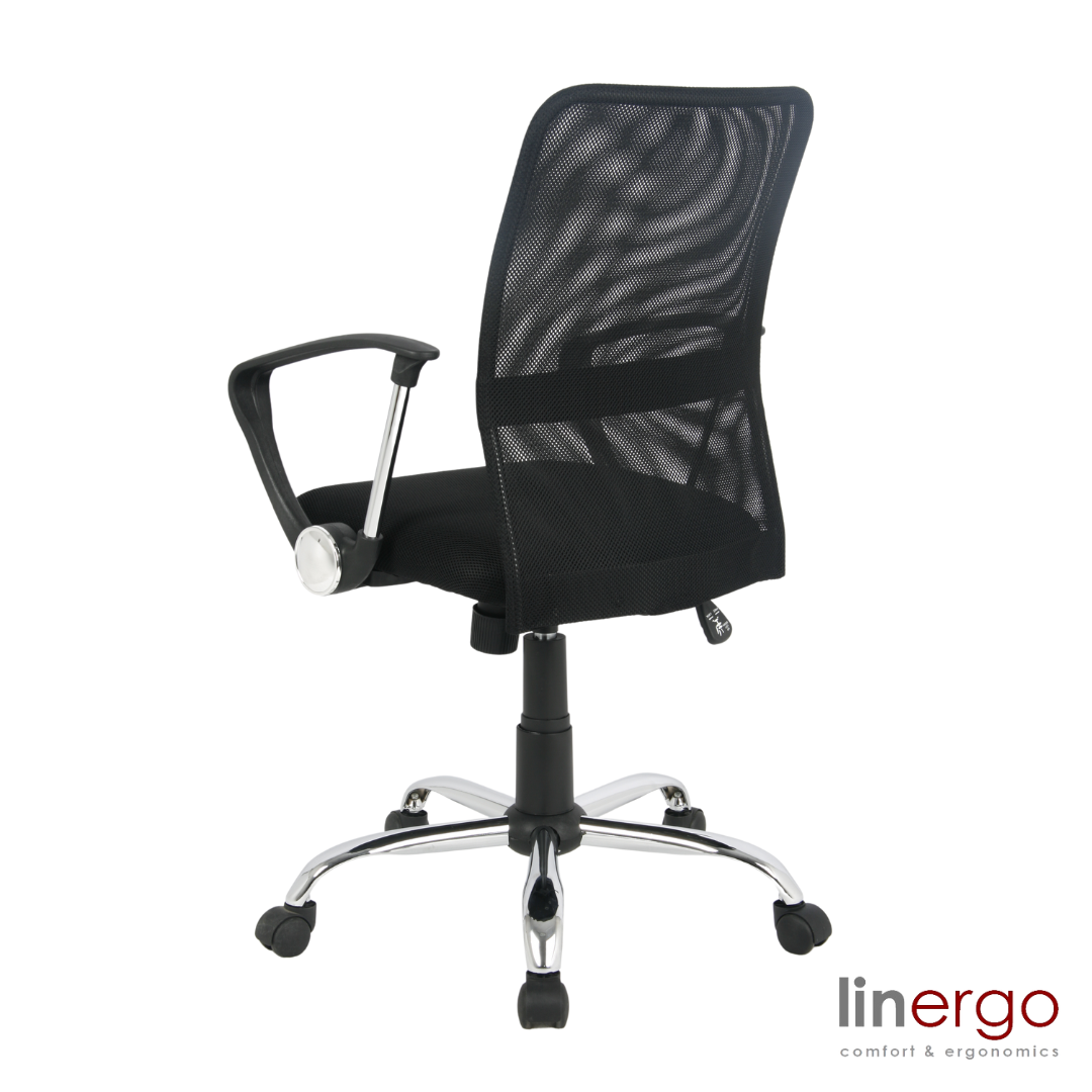 Office Chair Apollo Ergo | size: Width: 64cm, Height: 103cm, Depth: 53cm | color: Gray | image: 1 | variant: 1014102