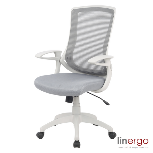 Office Chair Esko Ergo | size: Width: 58cm, Height: 103cm, Depth: 50cm | color: Black | image: 0 | variant: 1014104