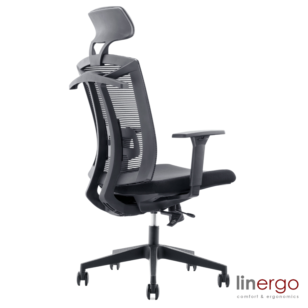 Office Chair Patrik ERGO | size: Width: 50cm, Height: 128cm, Depth: 49cm | color: Black | image: 1 | variant: 1005478