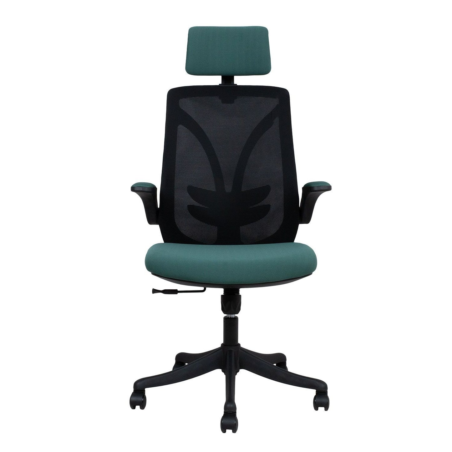 Office Chair Tandy | size: Width: 64cm, Height: 126cm, Depth: 62.5cm | color: Black/Green | image: 1 | variant: 1005331