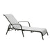 Sun Lounger Dublin | size: Length: 161cm, Width: 66.5cm, Height: 100cm | color: Gray | image: 1 | variant: 1002855